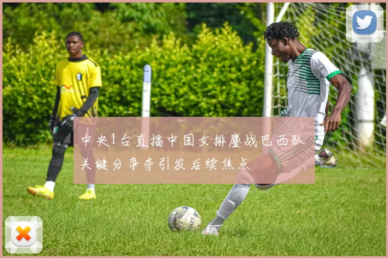 中央1台直播中国女排鏖战巴西队 关键分争夺引发后续焦点