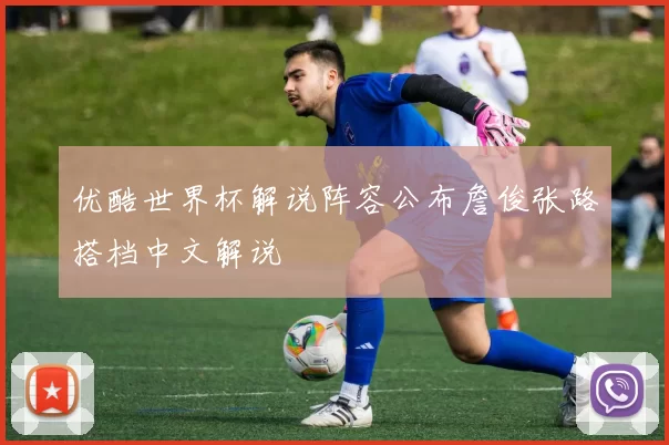 优酷世界杯解说阵容公布詹俊张路搭档中文解说