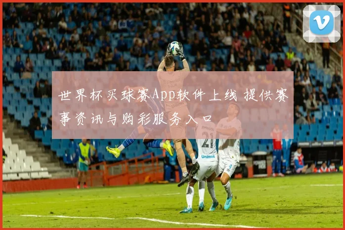 世界杯买球赛App软件上线 提供赛事资讯与购彩服务入口