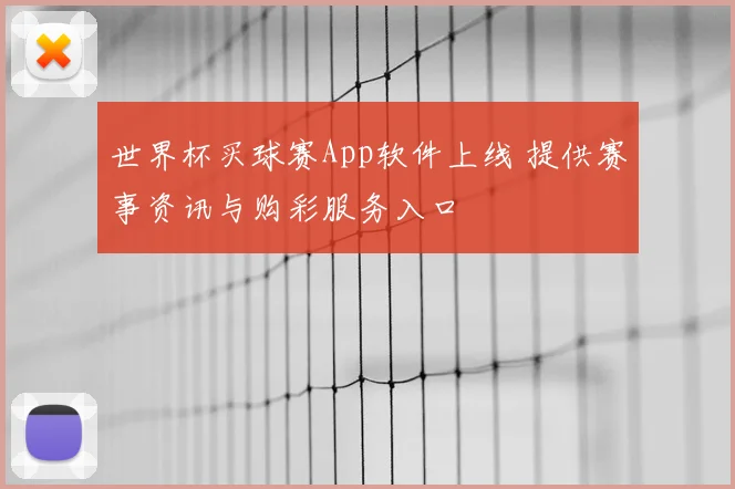 世界杯买球赛App软件上线 提供赛事资讯与购彩服务入口