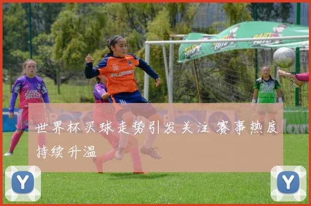 世界杯买球走势引发关注 赛事热度持续升温
