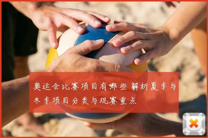 奥运会比赛项目有哪些 解析夏季与冬季项目分类与观赛重点