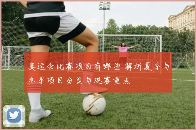奥运会比赛项目有哪些 解析夏季与冬季项目分类与观赛重点